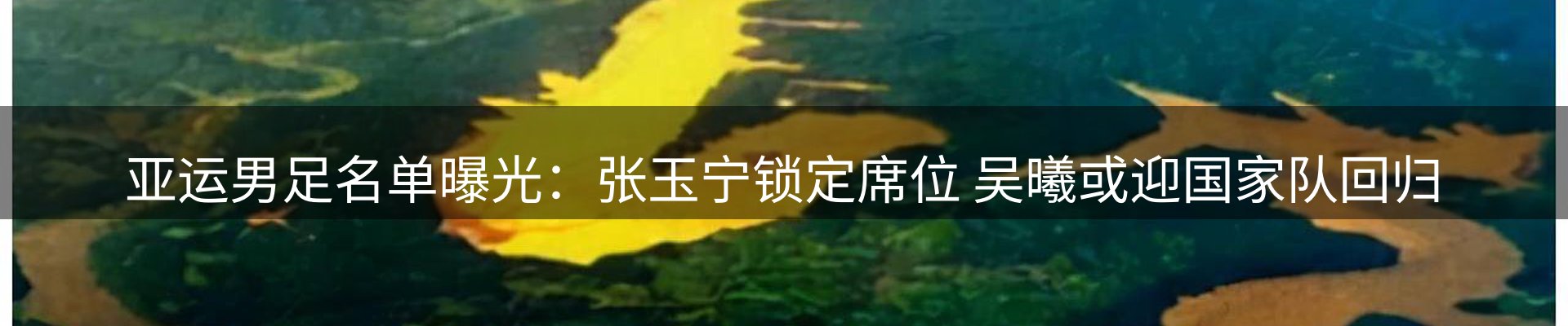 最新动态