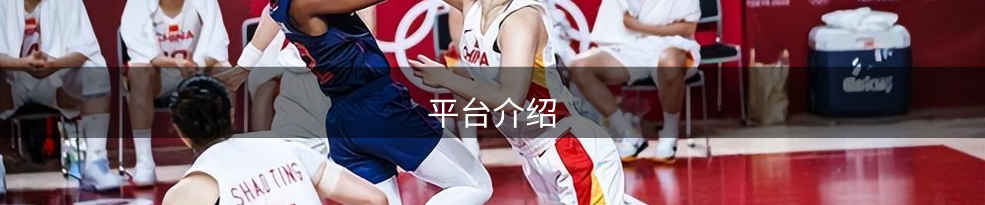 平台介绍