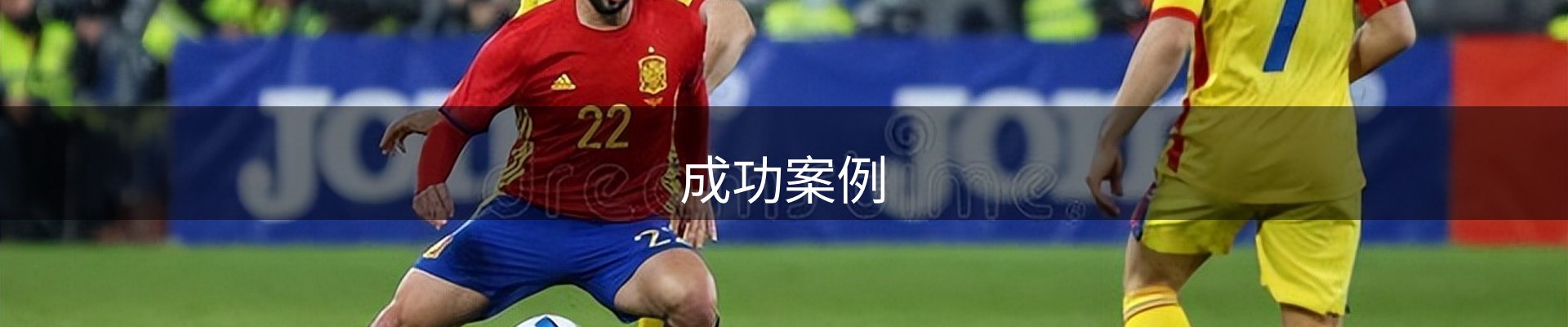 成功案例
